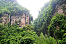 广元鼓城山自然保护区天气